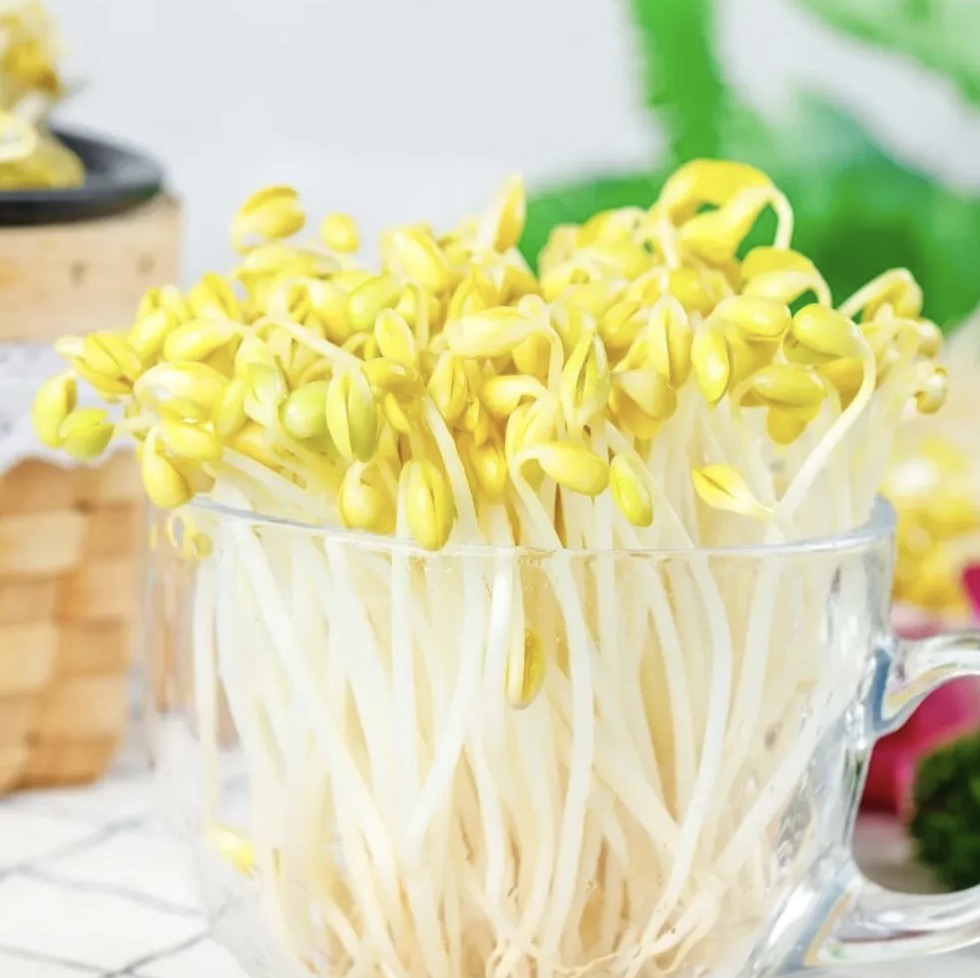 豆芽 250gBeansprouts per pack