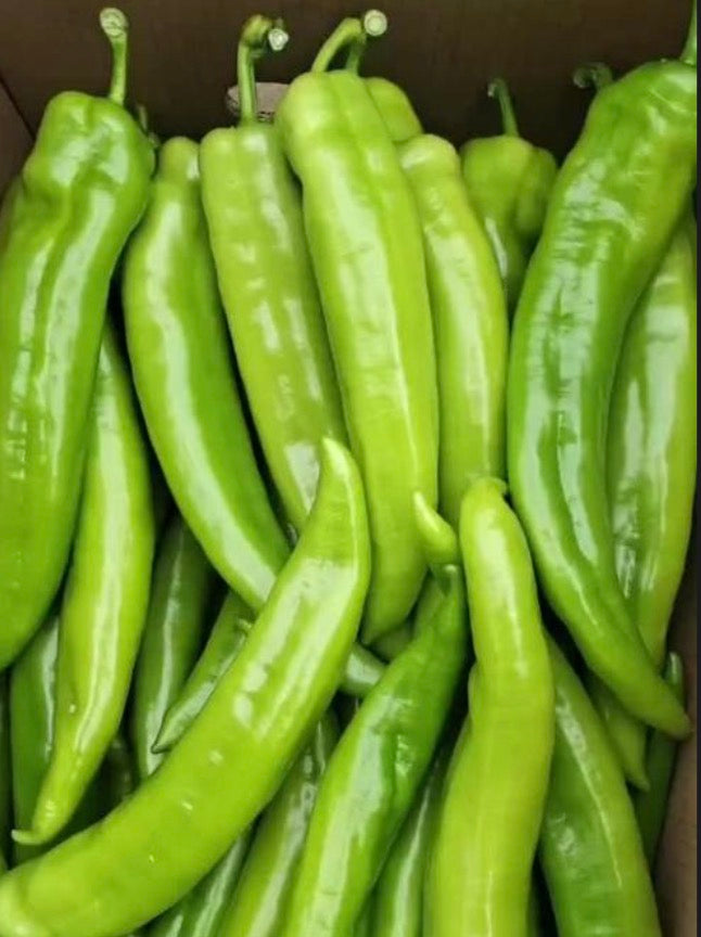 尖椒 300g/包Long Green Pepper 300g