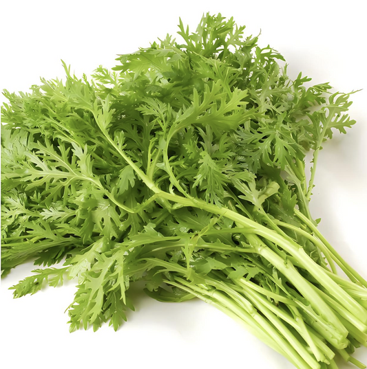 茼蒿Tong Hou