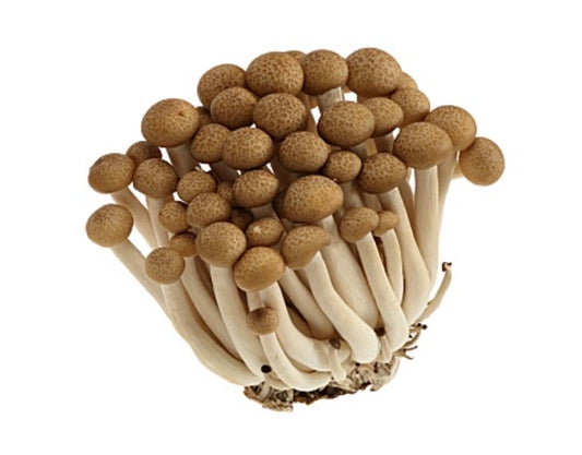 蟹味菇 1盒Shimeji Mushroom Brown Each Pack