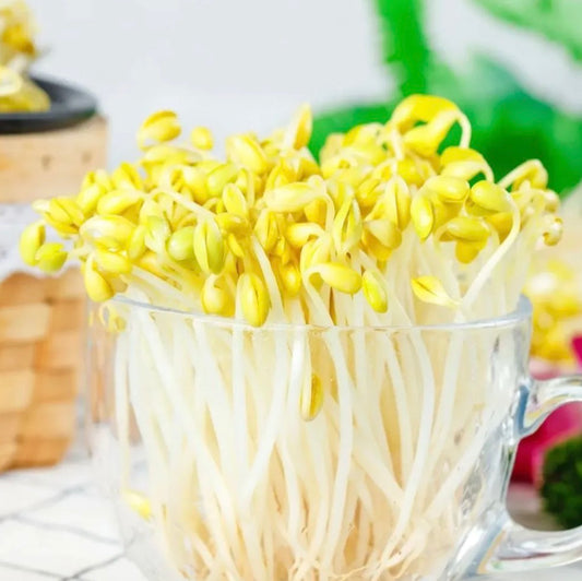 豆芽 250gBeansprouts per pack