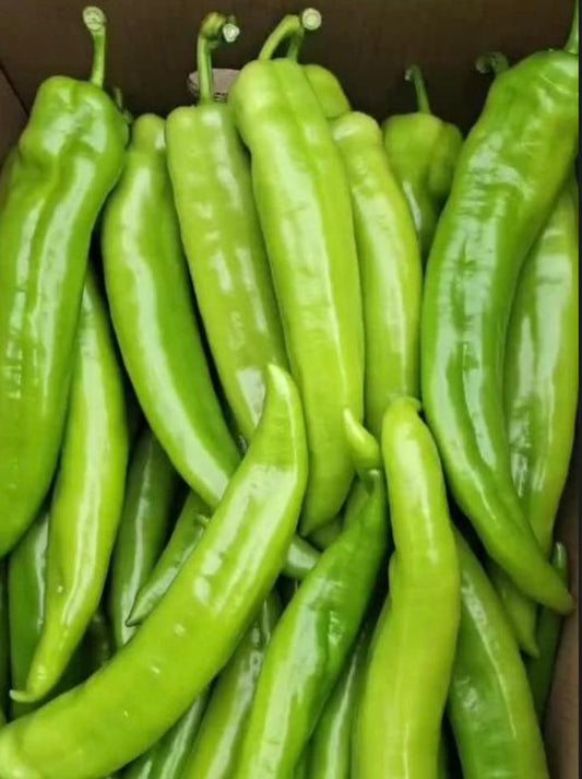 尖椒 300g/包Long Green Pepper 300g