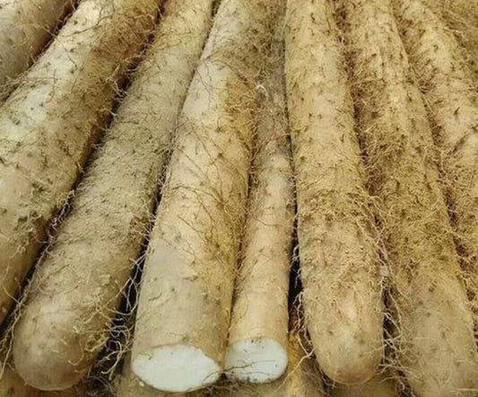 山药 500gChinese Yam