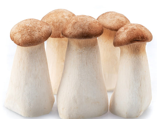 杏鲍菇 1盒King Oyster Mushroom