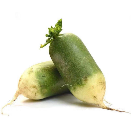 青萝卜每条 Green Radish